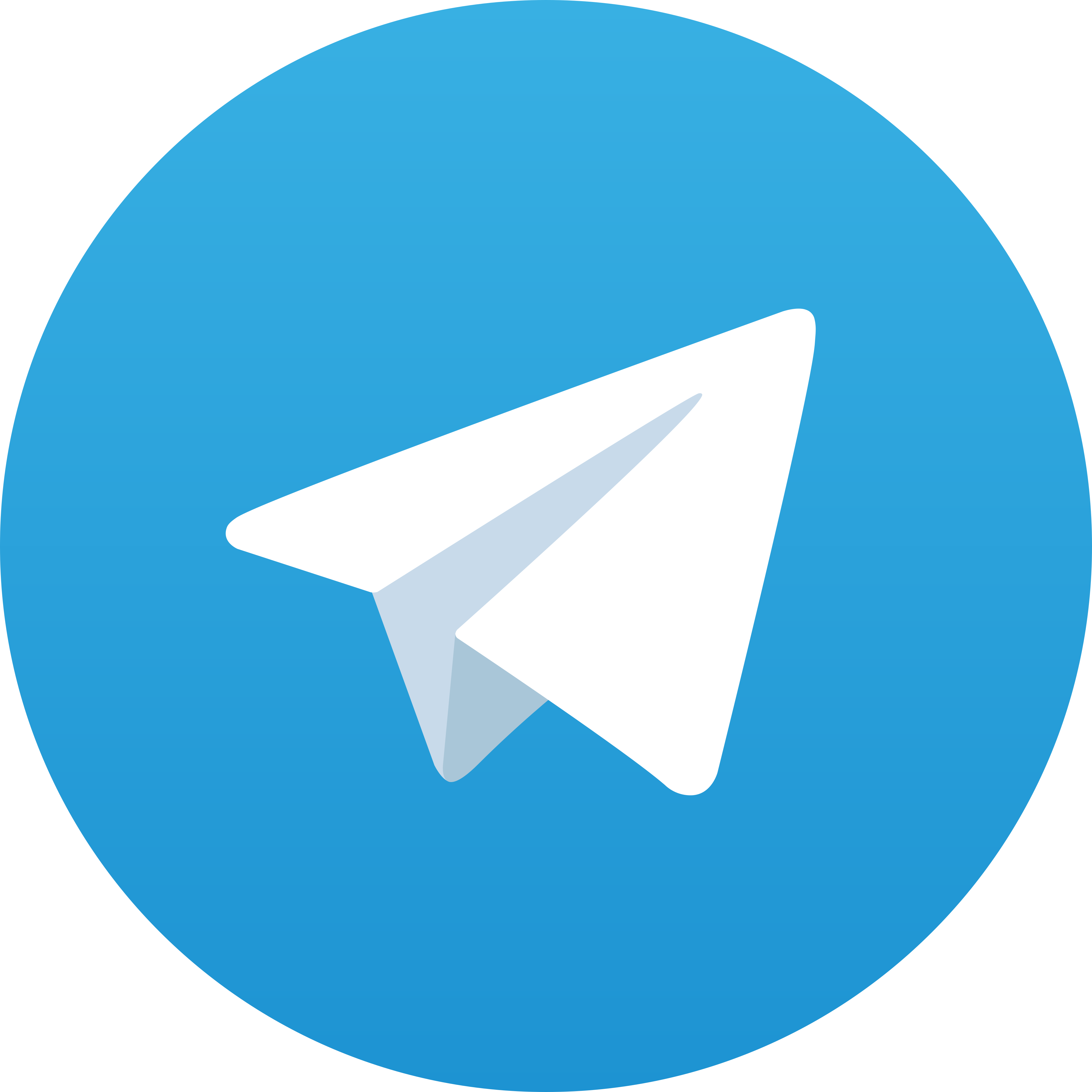 Telegram Jp311